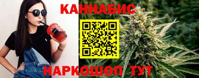 крисы Малгобек