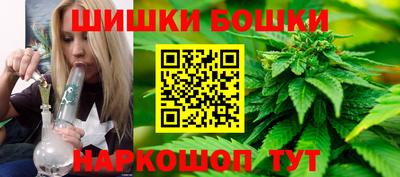 крисы Малгобек