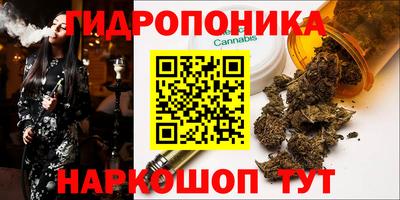 крисы Малгобек