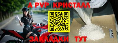 крисы Малгобек