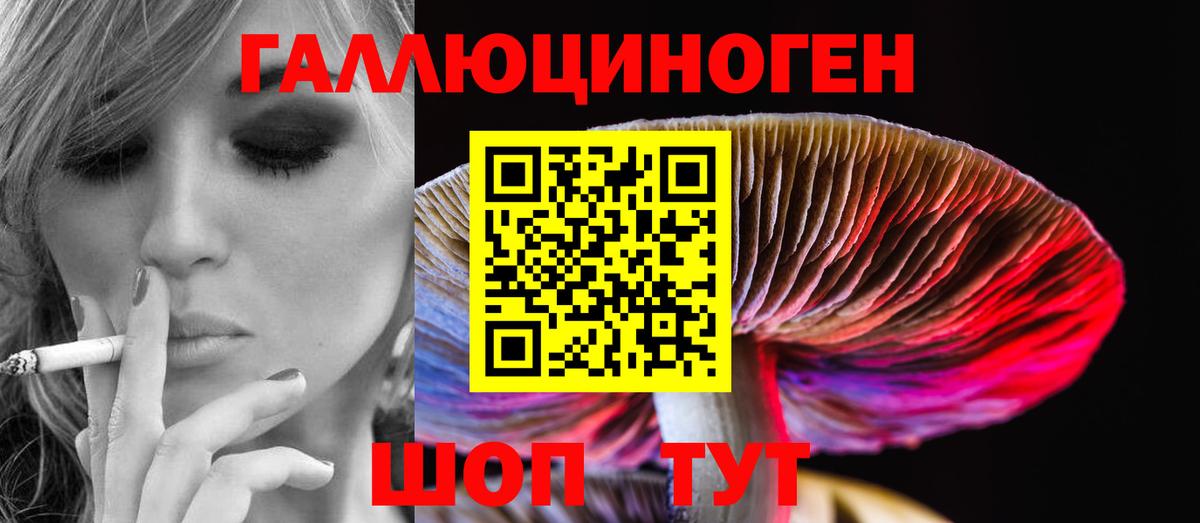 Галлюциногенные грибы Psilocybe  Вход с VPN  Узловая 